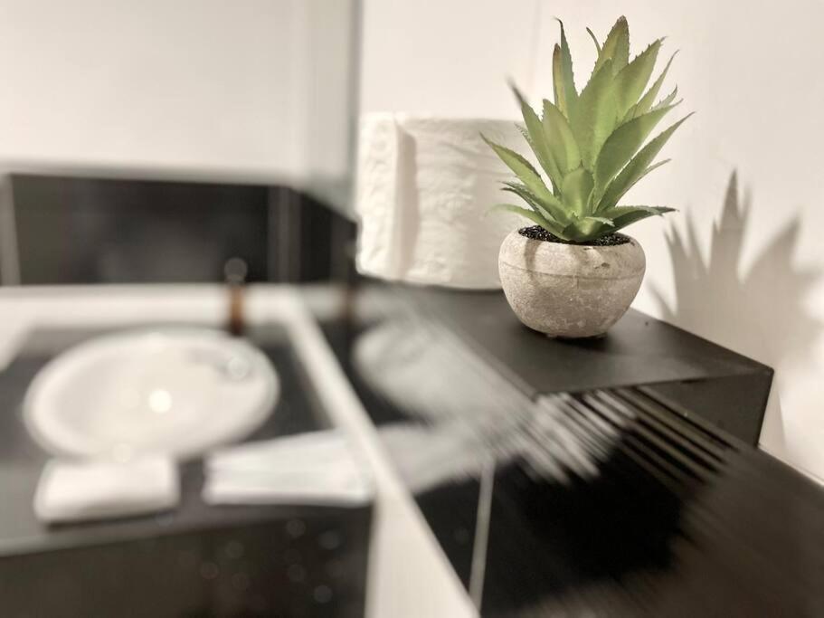 Mansion One Suites - Seaview Modern 2 Bedroom Suites 乔治敦 外观 照片
